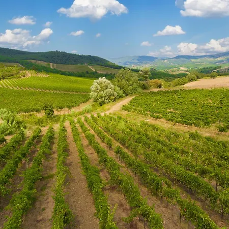 My Exclusive Italy - Chianti With Panoramic Pool On The Vineyard Villa